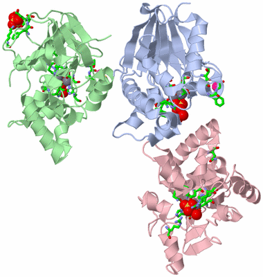 Image Asym. Unit - sites