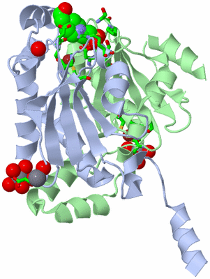 Image Biol. Unit 1 - sites