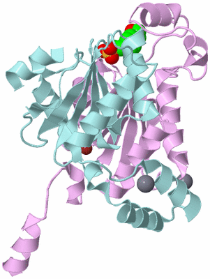 Image Biological Unit 3