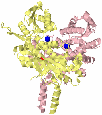 Image Biological Unit 2