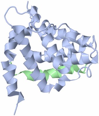 Image NMR Structure - model 1