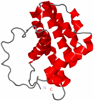 Image NMR Structure - model 1