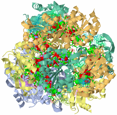 Image Biol. Unit 1 - sites