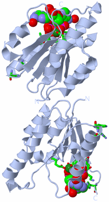 Image Biol. Unit 1 - sites