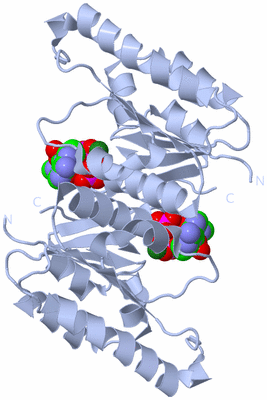 Image Biological Unit 2