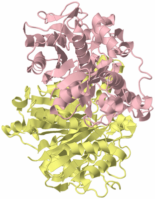 Image Biological Unit 2