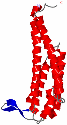 Image Asymmetric Unit