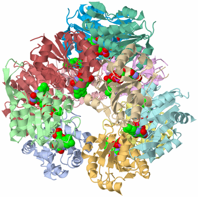 Image Asym./Biol. Unit