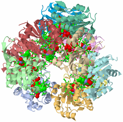 Image Asym./Biol. Unit - sites