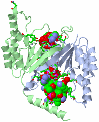 Image Asym./Biol. Unit - sites