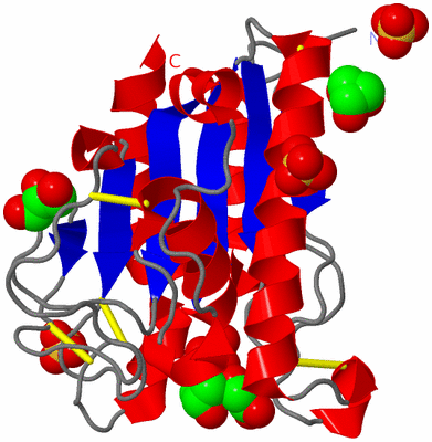 Image Asym./Biol. Unit