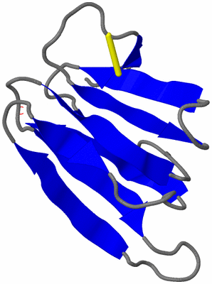 Image NMR Structure - model 1