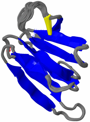 Image NMR Structure - all models