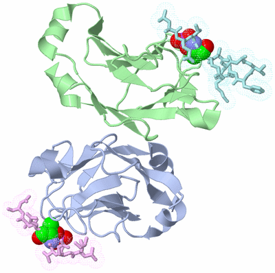 Image Asym./Biol. Unit