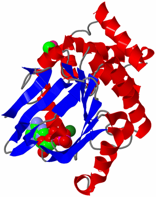 Image Asym./Biol. Unit