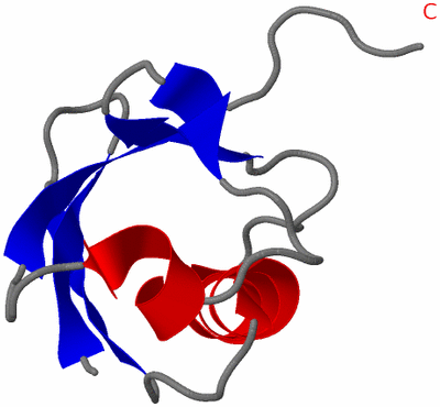 Image NMR Structure - model 1