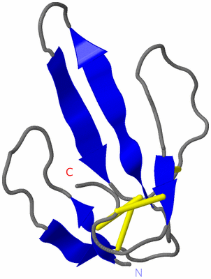 Image NMR Structure - model 1