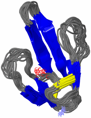 Image NMR Structure - all models