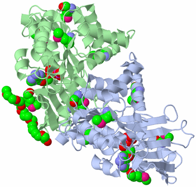 Image Asymmetric Unit