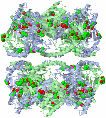 Image Biological Unit 2
