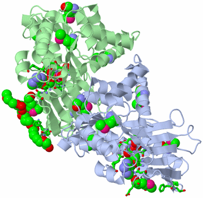 Image Asym. Unit - sites