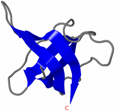 Image NMR Structure - model 1