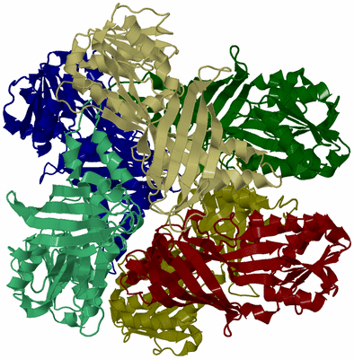 Image Biological Unit 1