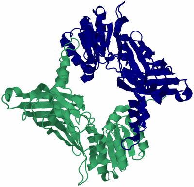 Image Biological Unit 2