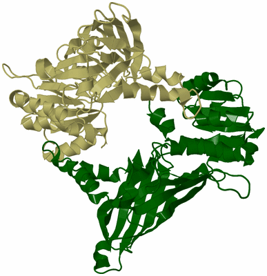 Image Biological Unit 4