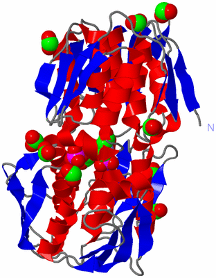 Image Asym./Biol. Unit