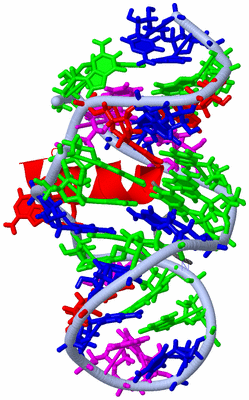 Image NMR Structure - model 1