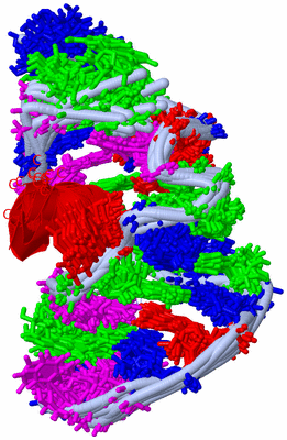 Image NMR Structure - all models