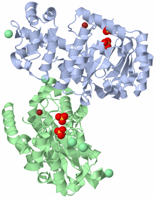 Image Asymmetric Unit