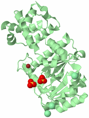 Image Biological Unit 2