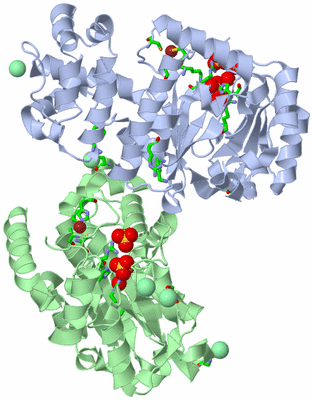 Image Asym. Unit - sites