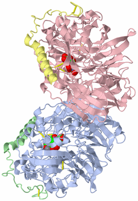 Image Asym./Biol. Unit