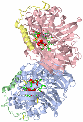 Image Asym./Biol. Unit - sites