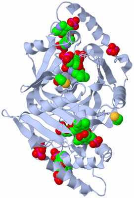 Image Biological Unit 1