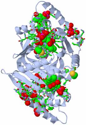 Image Biol. Unit 1 - sites