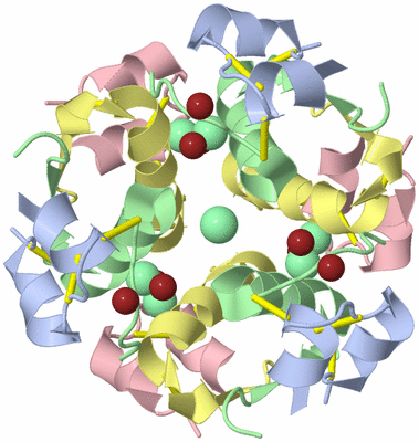 Image Biological Unit 1