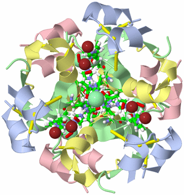 Image Biol. Unit 1 - sites