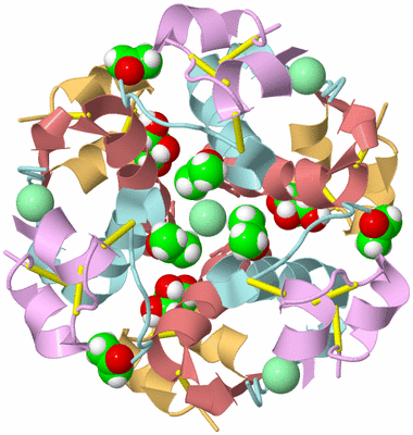 Image Biological Unit 2