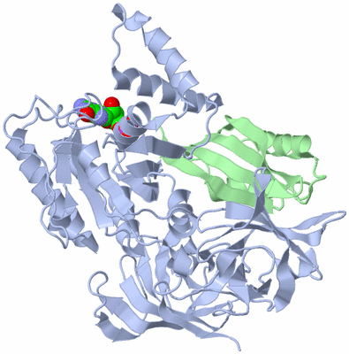 Image Asym./Biol. Unit