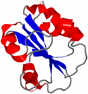 Image NMR Structure - model 1