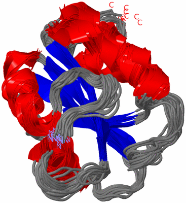 Image NMR Structure - all models