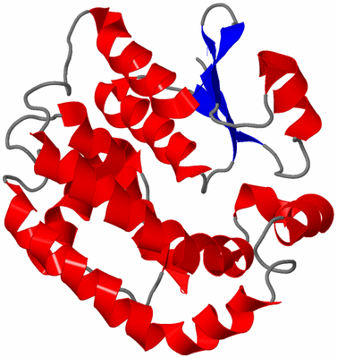 Image NMR Structure - model 1