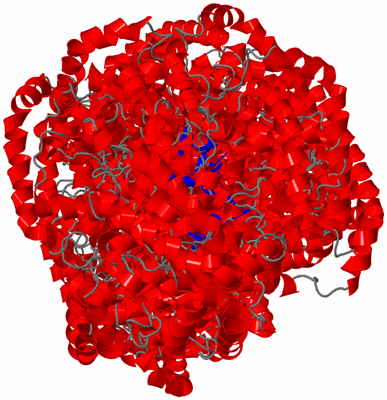 Image NMR Structure - all models