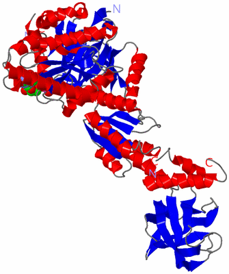 Image Asym./Biol. Unit