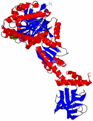 Image Asym./Biol. Unit