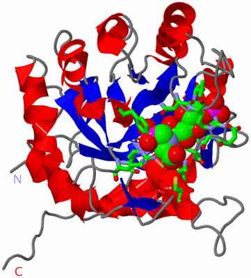 Image Asym. Unit - sites